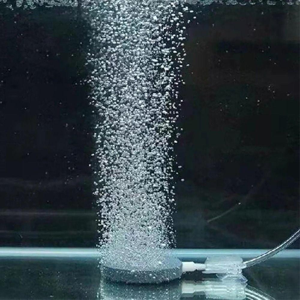 1Pcs 4/6/8/10cm Aquarium Bubbl – Air Stone Diffuser recenzja i cena